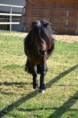 /album/timo/a2012-04-02-23-timo-jpg/